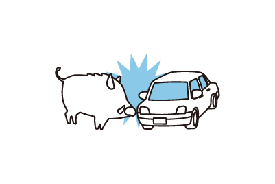 動物との衝突・接触